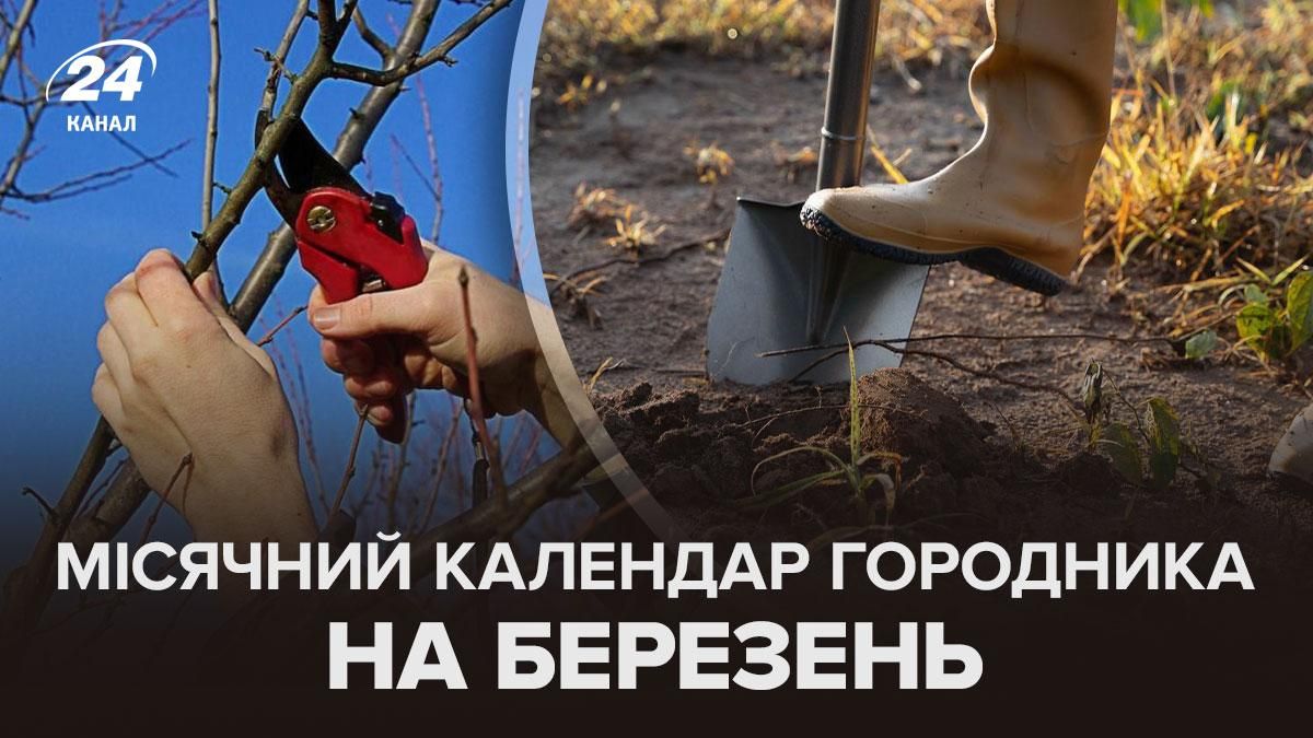 Календарь огородника на март Календарь огородника на март
