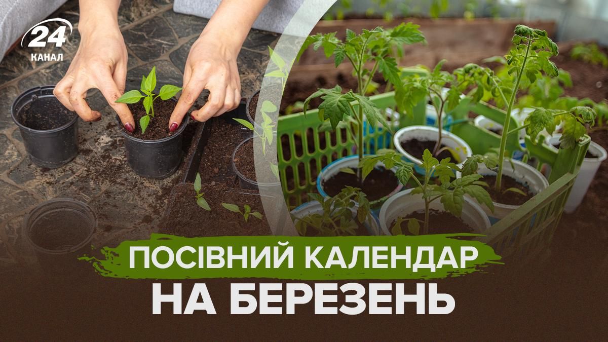 Посівний календар на березень