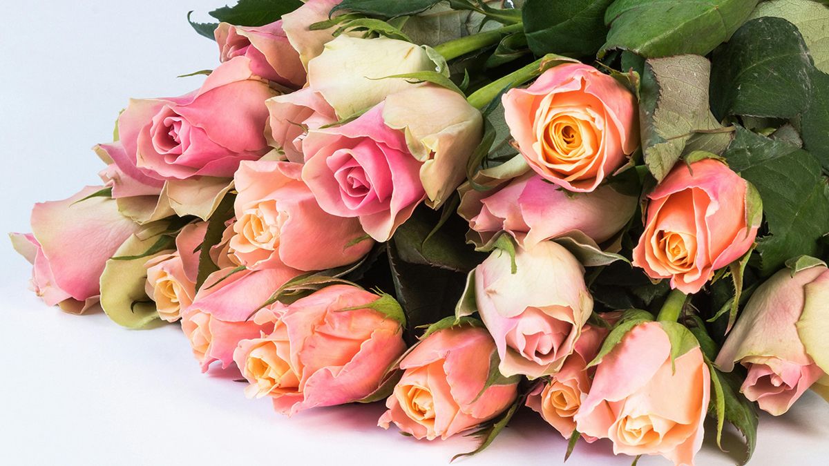 Увядшие розы можно оживить Увядшие розы можно оживить