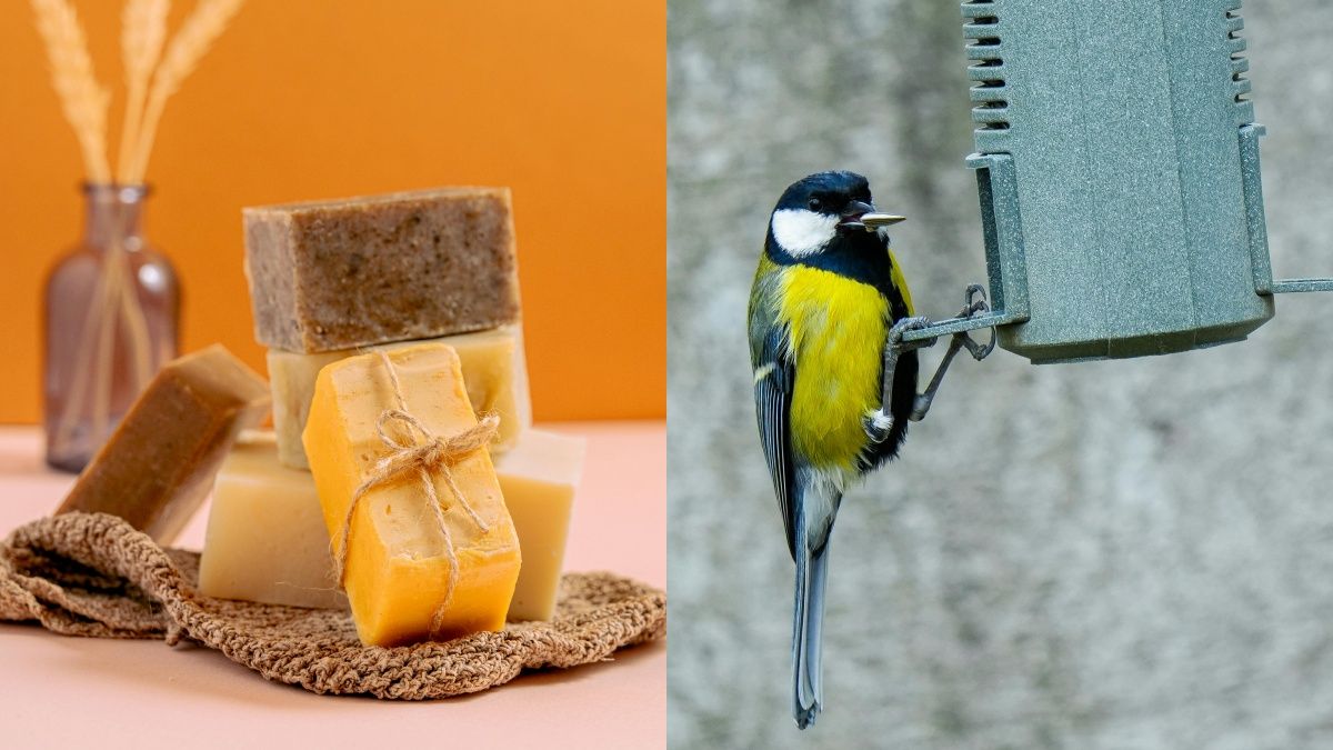 Мило відлякає від їжі птахів інших тварин Мило відлякає від їжі птахів інших тварин