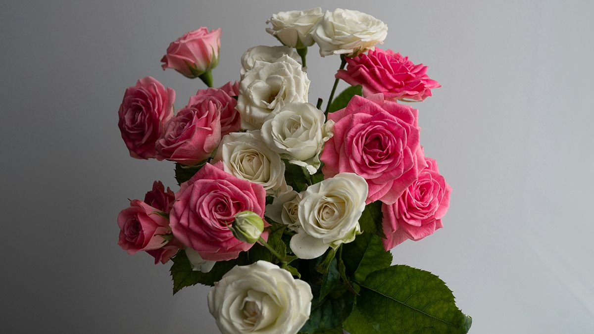 Правила догляду за квітами, щоб вони залишалися свіжими Правила догляду за квітами, щоб вони залишалися свіжими