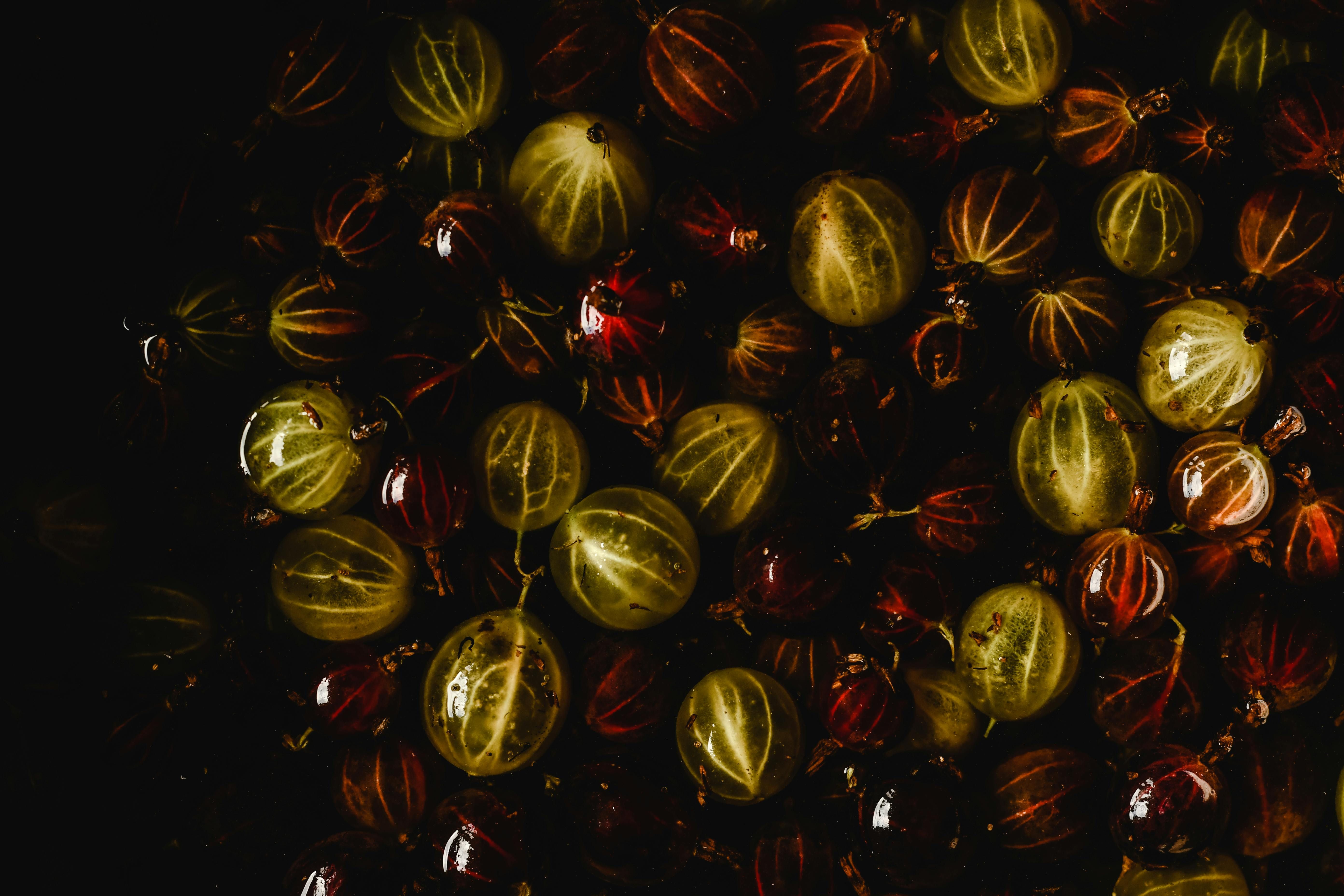 Существуют сорта крыжовника без шипов Существуют сорта крыжовника без шипов