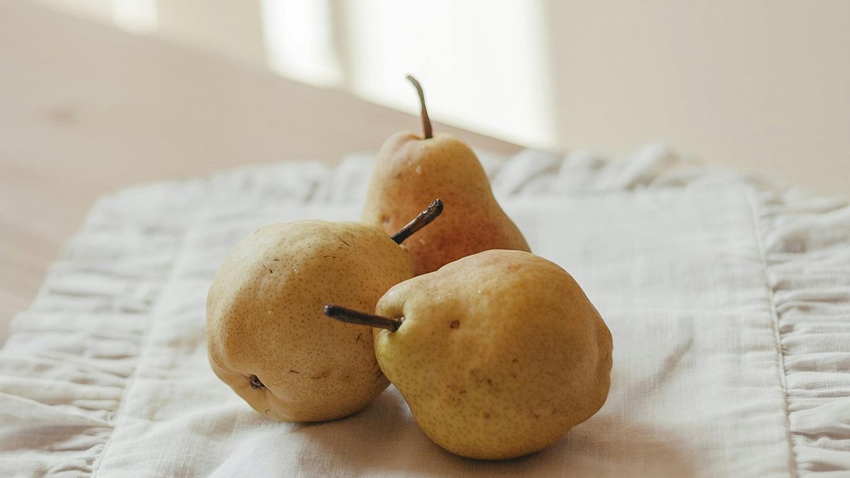 Сорти груш, які люблять всі дачники Сорти груш, які люблять всі дачники