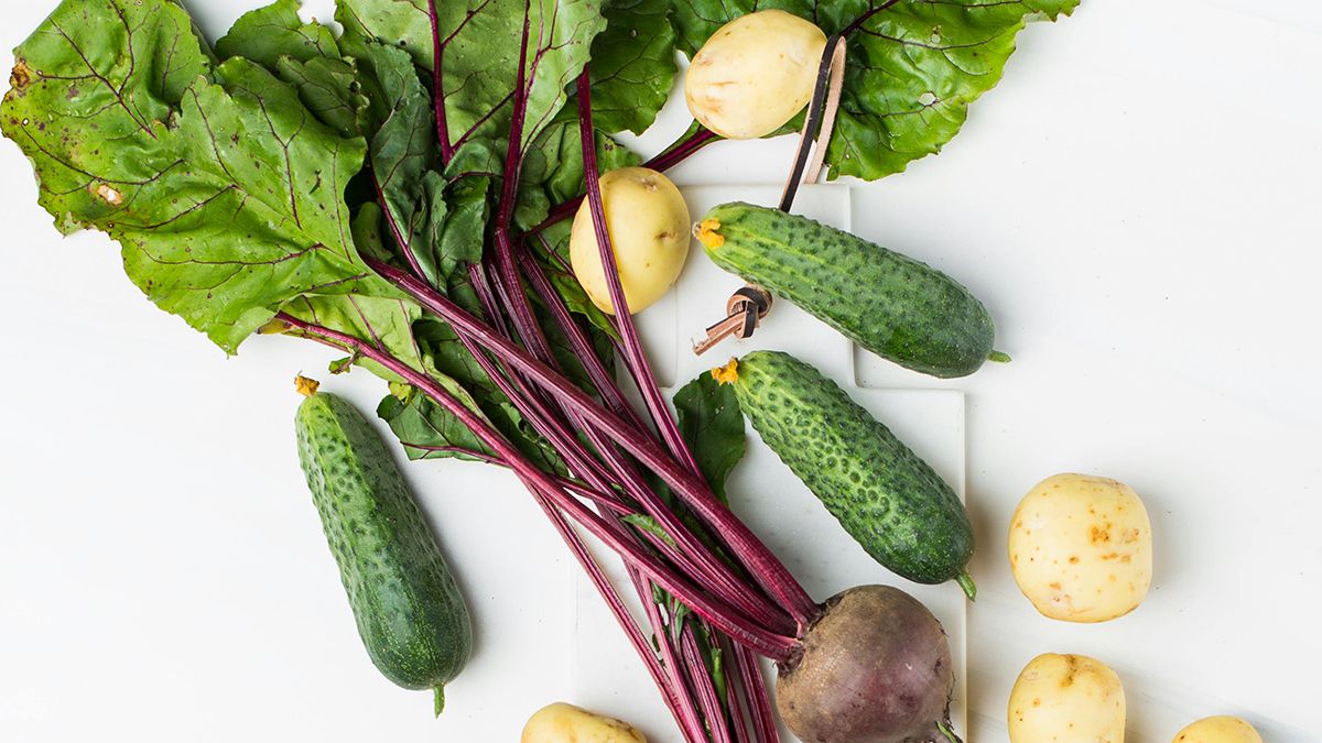 Огурцы нельзя сажать преждевременно Огурцы нельзя сажать преждевременно