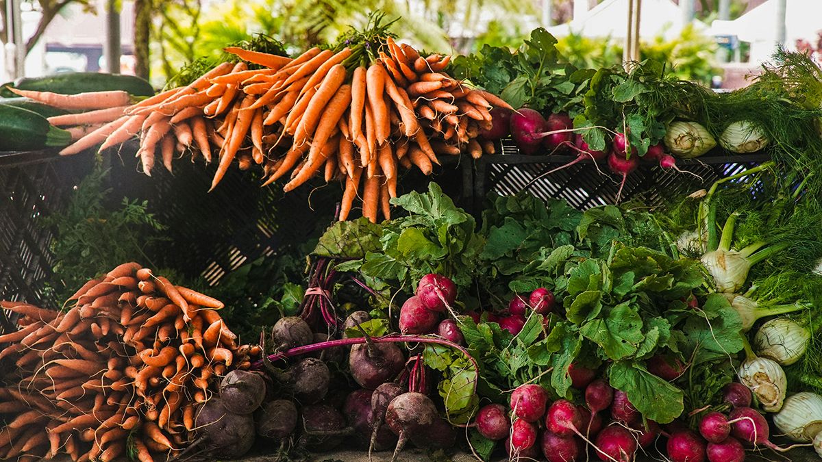 Список овочів, які можна садити на початку весни Список овочів, які можна садити на початку весни