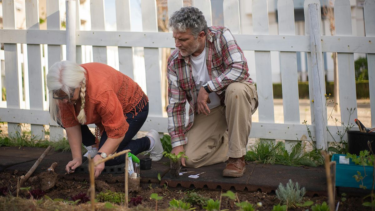 Список овочів, які треба посадити у квітні Список овочів, які треба посадити у квітні