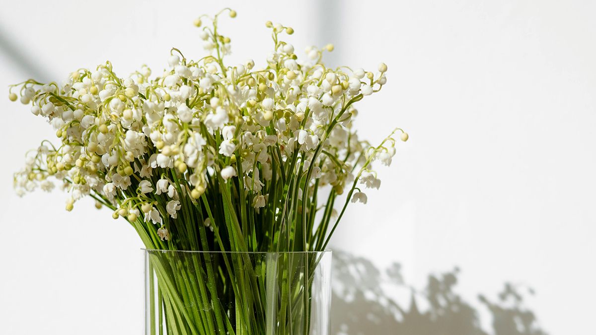 Ландыши имеют невероятный запах Ландыши имеют невероятный запах