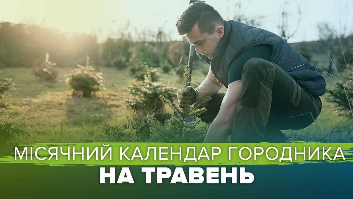 Місячний посівний календар городника на травень 2025 року Місячний посівний календар городника на травень 2025 року