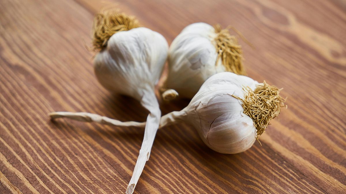 Названа лучшая подкормка для чеснока Названа лучшая подкормка для чеснока