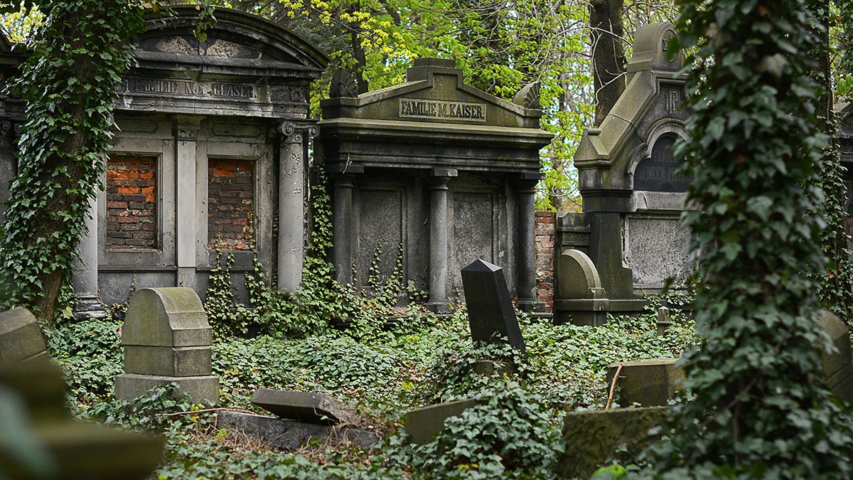 На кладбище нельзя приносить искусственные цветы на кладбище На кладбище нельзя приносить искусственные цветы на кладбище