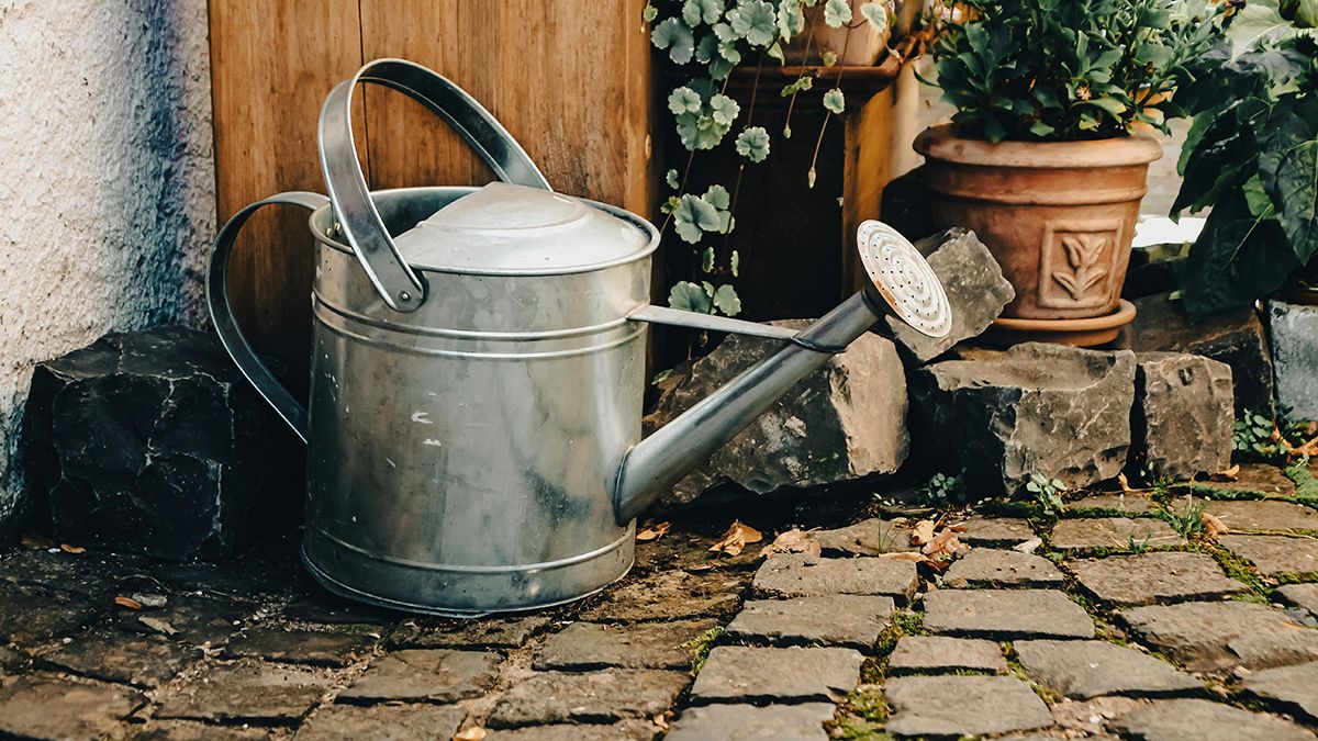 Траву між плиткою можна легко прибрати Траву між плиткою можна легко прибрати