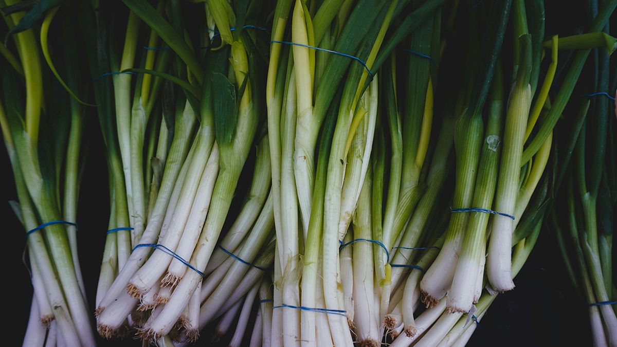 Що не можна садити біля цибулі Що не можна садити біля цибулі