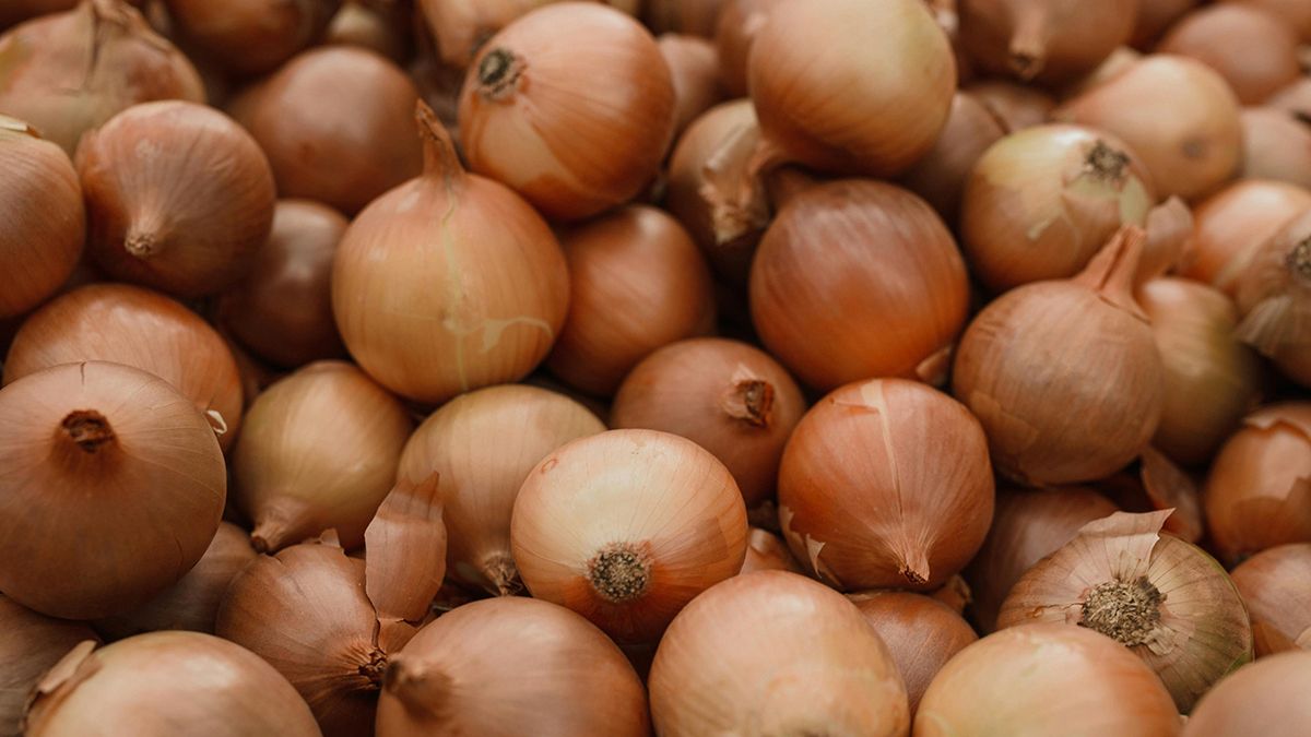 Растения, которые надо посадить возле лука Растения, которые надо посадить возле лука