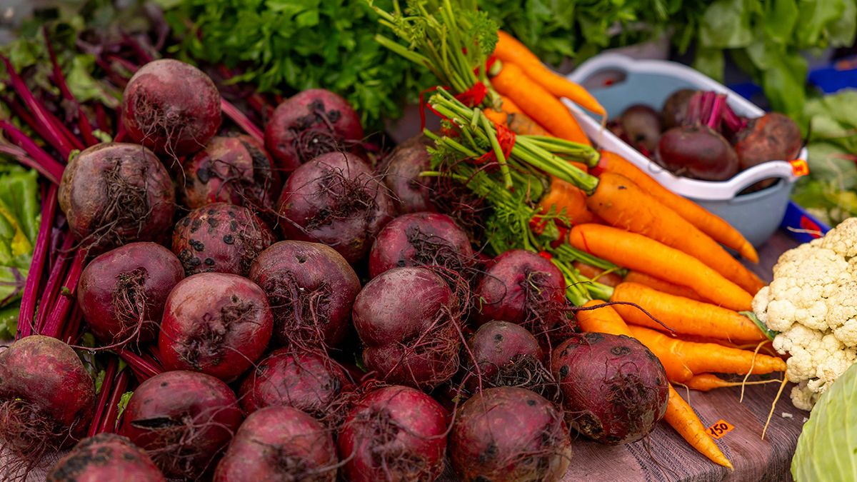 Овощи, которые запрещено сажать вместе Овощи, которые запрещено сажать вместе