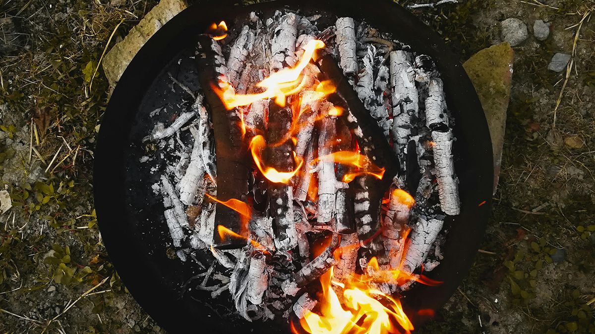 Древесная зола помогает уничтожить вредителей