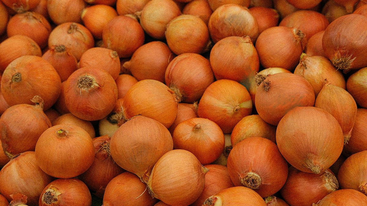 Лук надо вовремя подкормить в мае Лук надо вовремя подкормить в мае