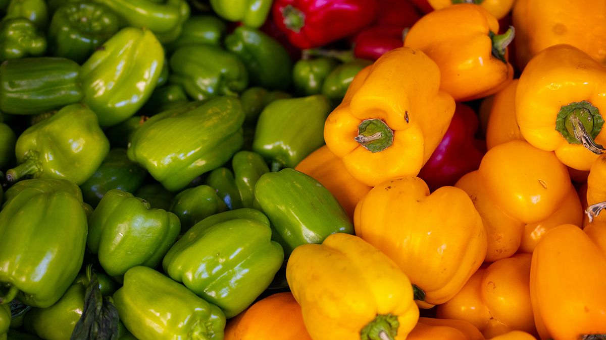 Наилучшая подкормка перца дрожжами Наилучшая подкормка перца дрожжами