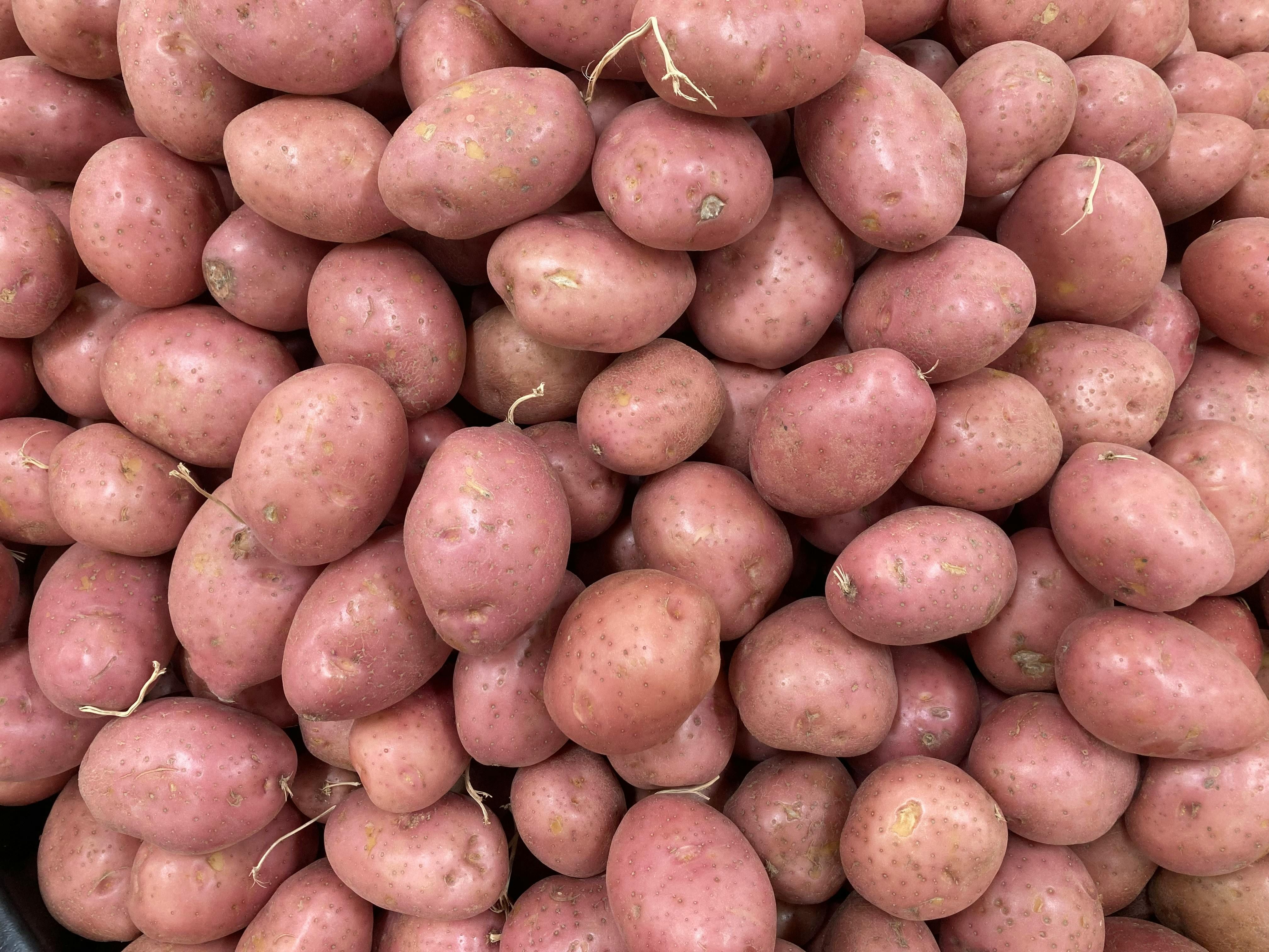 Картопля вже починає цвісти Картопля вже починає цвісти