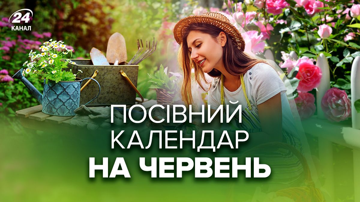 Посевной календарь на июнь 2025 года Посевной календарь на июнь 2025 года