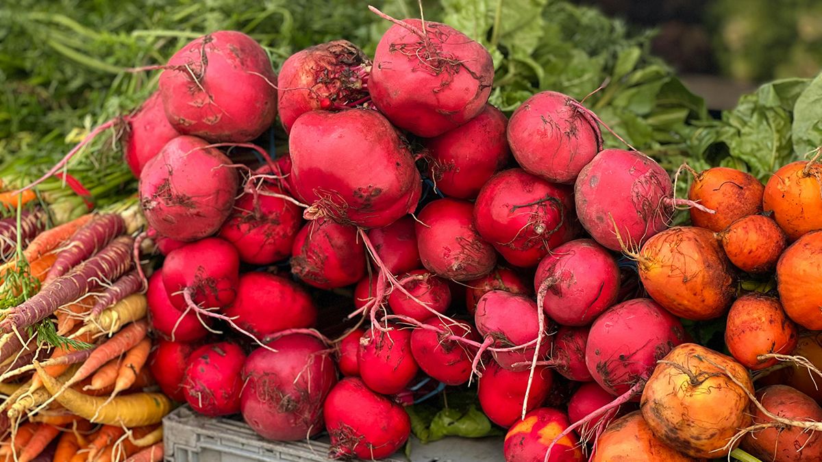 Біля буряків треба посадити певні рослини Біля буряків треба посадити певні рослини