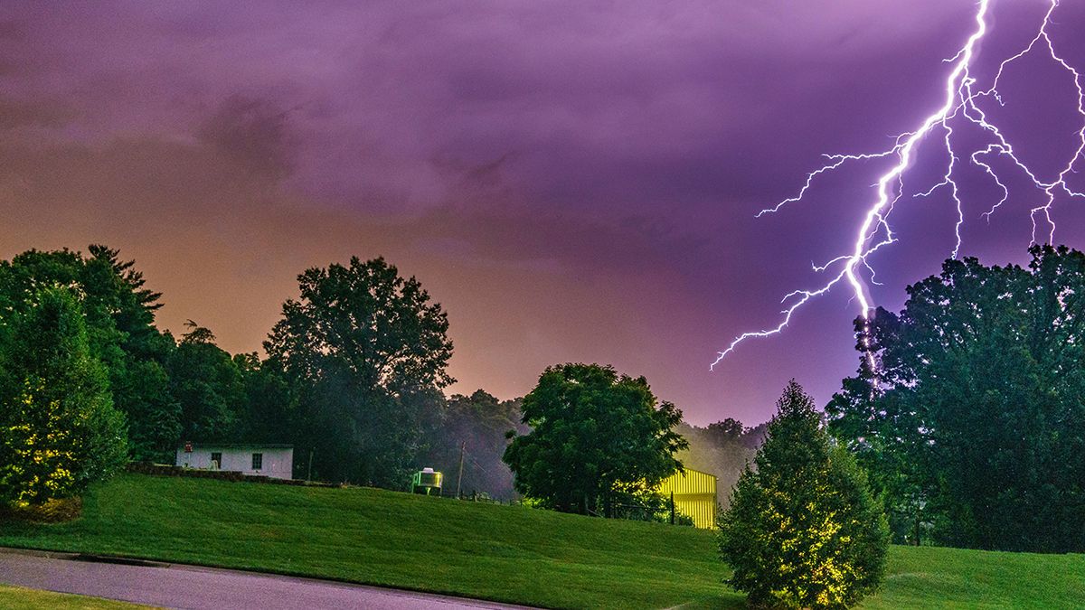 Дуб чаще всего притягивает молнию Дуб чаще всего притягивает молнию