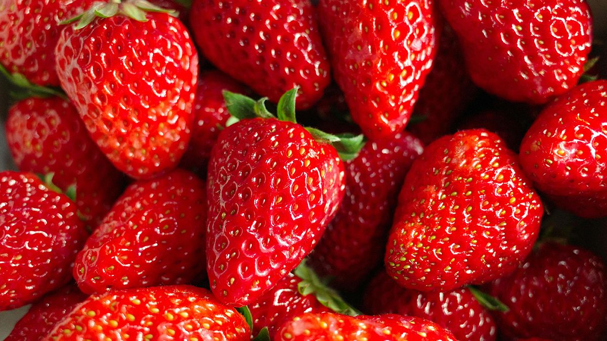 Полуницю можна врятувати від гнилі Полуницю можна врятувати від гнилі