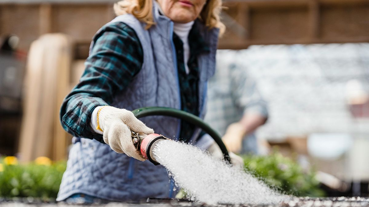 Як поливати овочі влітку Як поливати овочі влітку