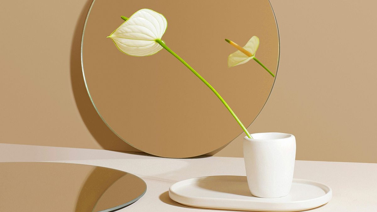 Подкормка для спатифиллума Подкормка для спатифиллума