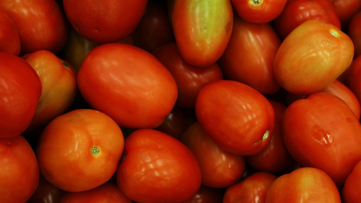 Поради, які допоможуть позбутися бурої плямистості Поради, які допоможуть позбутися бурої плямистості