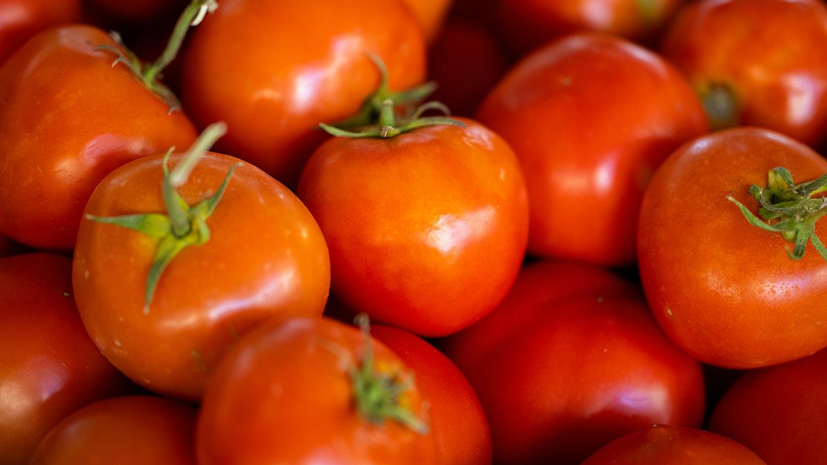 Народні засоби від фітофтори