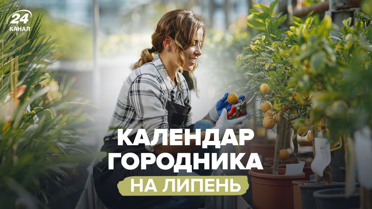 Місячний посівний календар городника на липень 2025 Місячний посівний календар городника на липень 2025