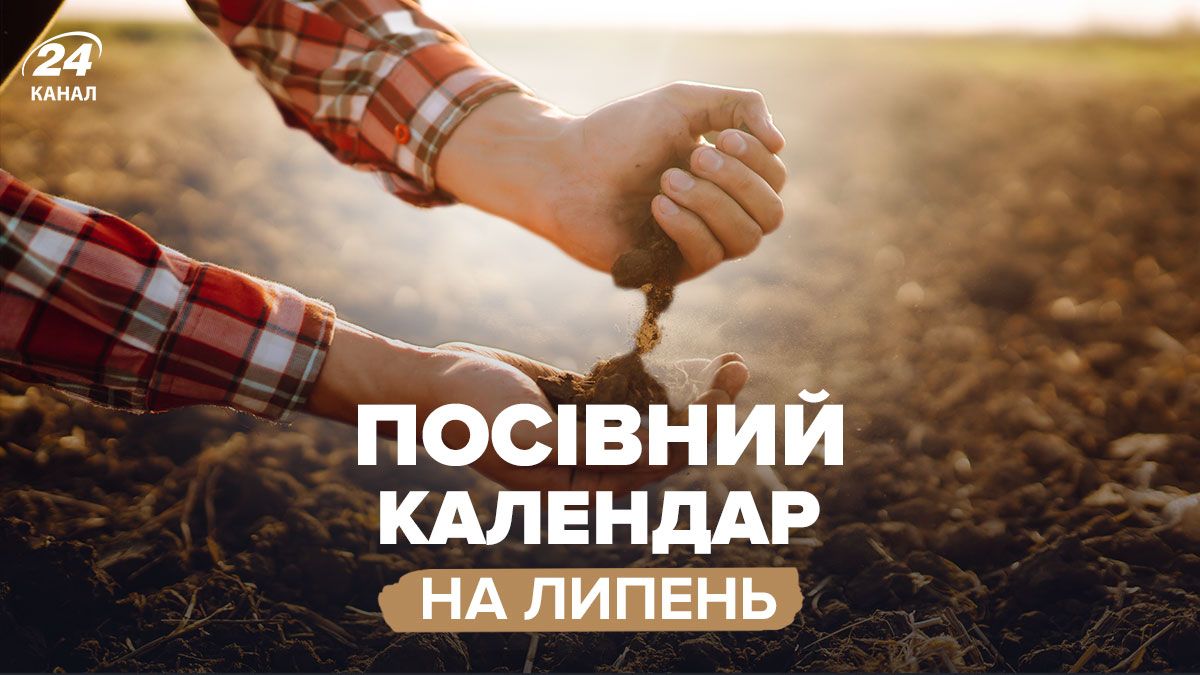 Посівний календар на липень 2025 Посівний календар на липень 2025