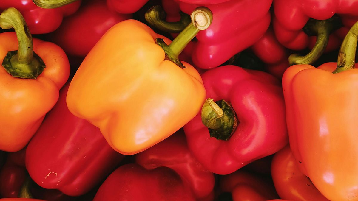 Лучшая подкормка для перца в июле Лучшая подкормка для перца в июле