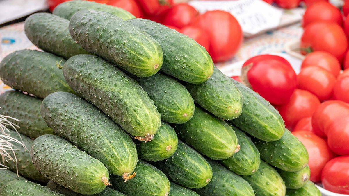 Метод, который сохранит огурцы свежими Метод, который сохранит огурцы свежими