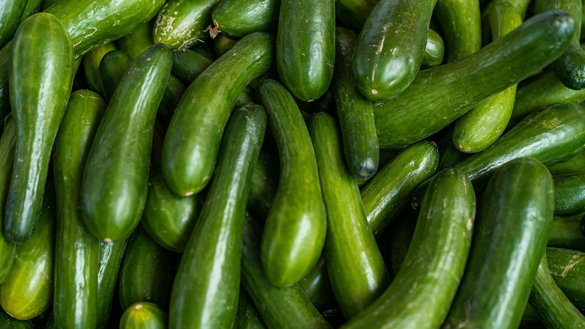 Уход за огурцами в июле