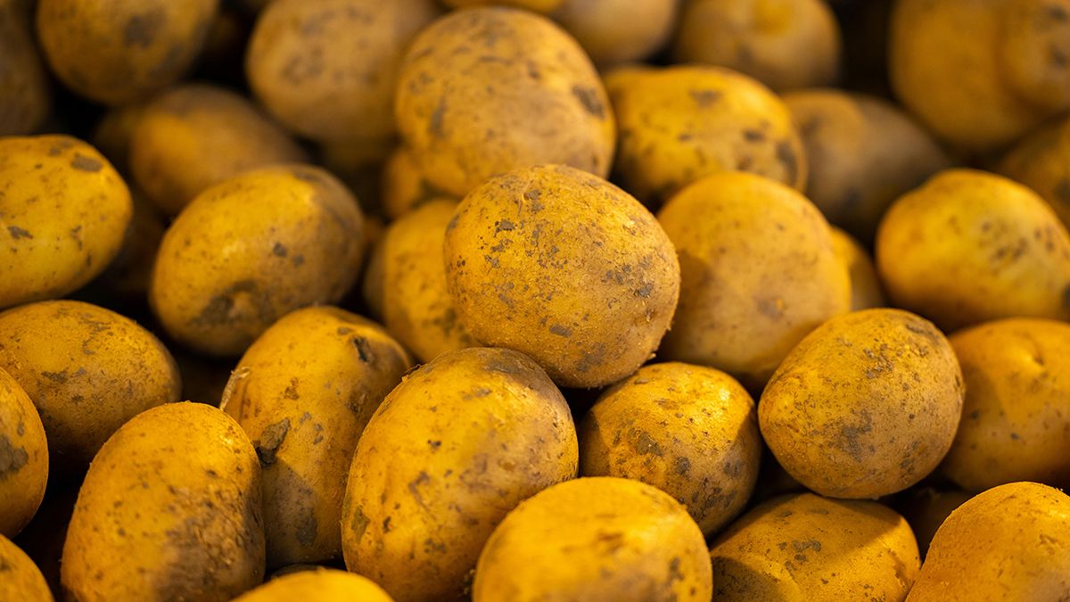 Підживлення для картоплі у липні