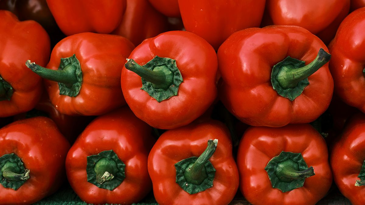 Средства, которые уничтожают паутинного клеща