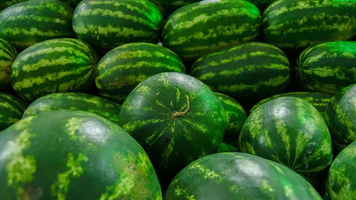 Найкраще добриво для кавунів Найкраще добриво для кавунів