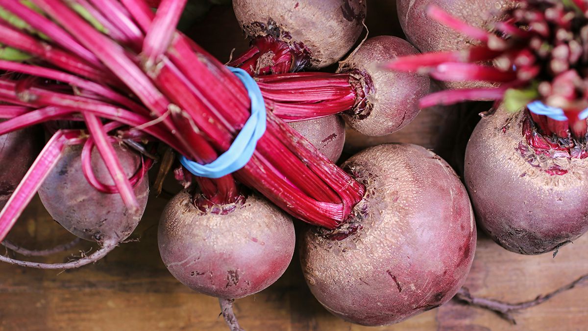 Лучшее удобрение для свеклы Лучшее удобрение для свеклы