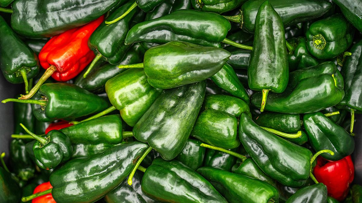 Найкращі підживлення для перцю Найкращі підживлення для перцю