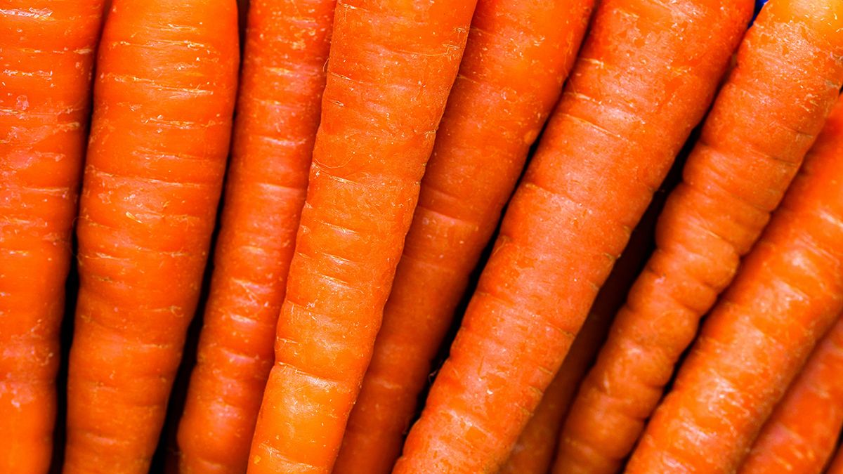 Июльская подкормка для моркови Июльская подкормка для моркови