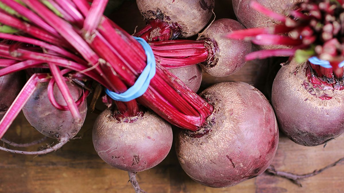 Удобрения, которые влияют на рост свеклы Удобрения, которые влияют на рост свеклы