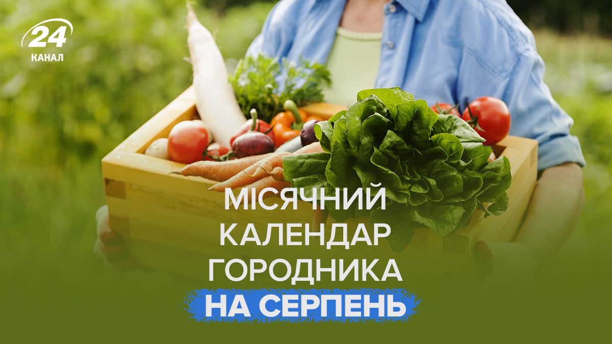 Лунный календарь огородника на август 2025 года