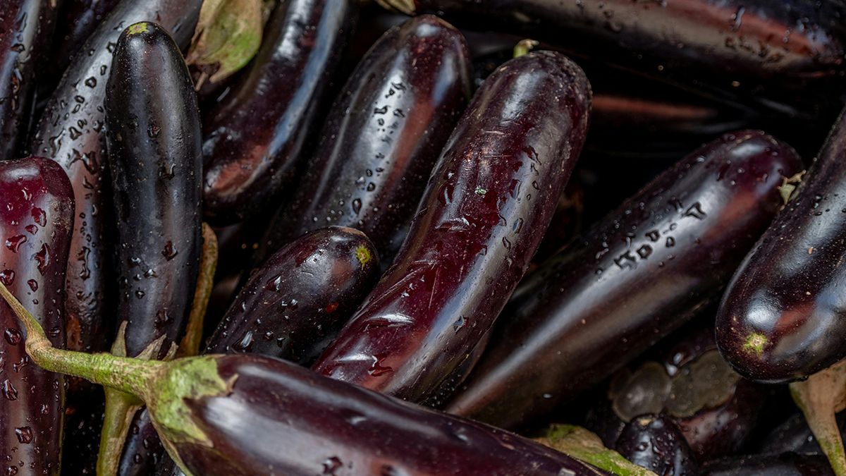 Почему желтеют листья баклажанов Почему желтеют листья баклажанов