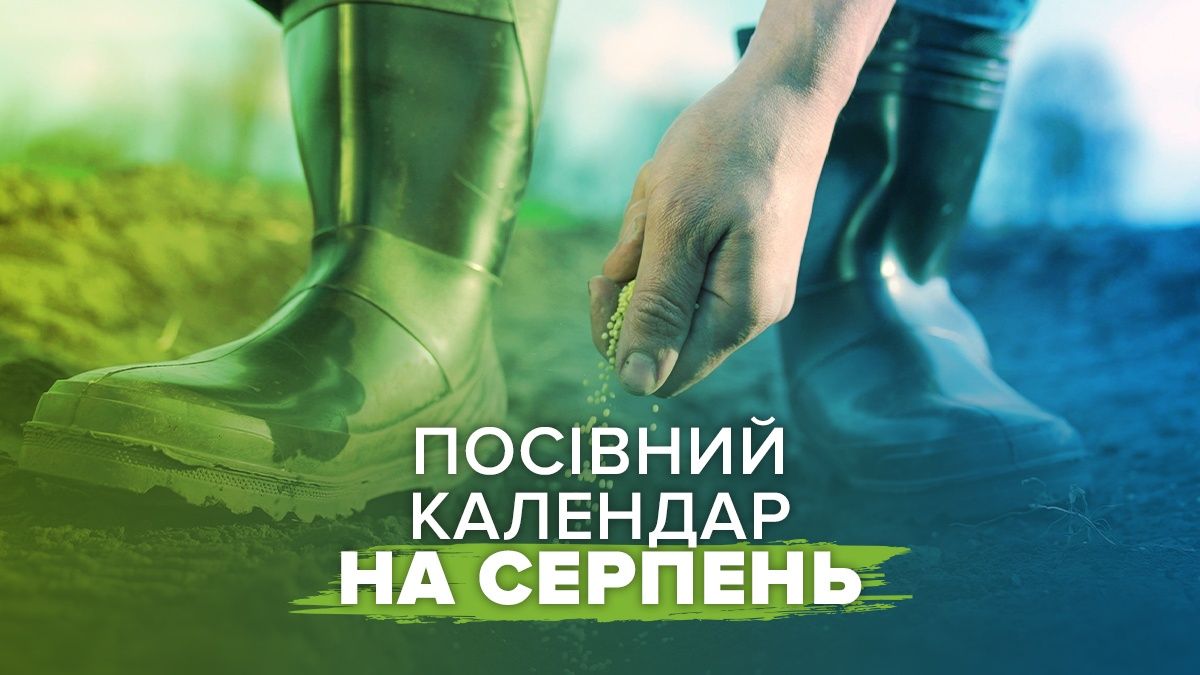 Посівний календар на серпень 2025 Посівний календар на серпень 2025