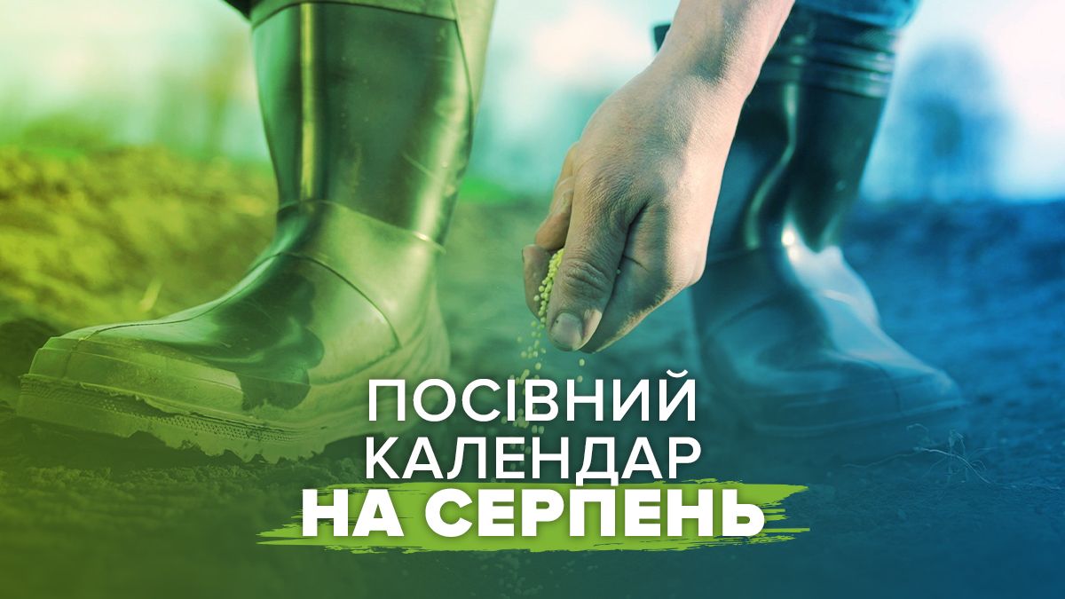 Посевной календарь на август 2025 года